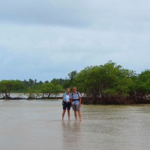 Bypassing the Mangrove Forests